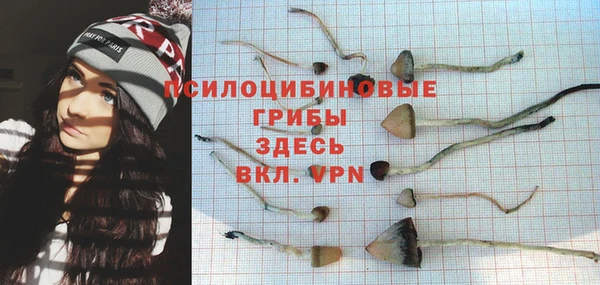 spice Арсеньев